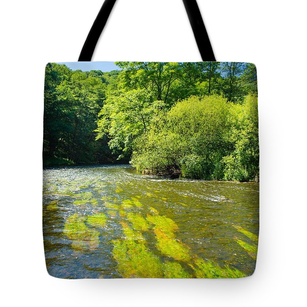 River Tote Bag featuring the photograph River Thaya In Austria by Andreas Berthold