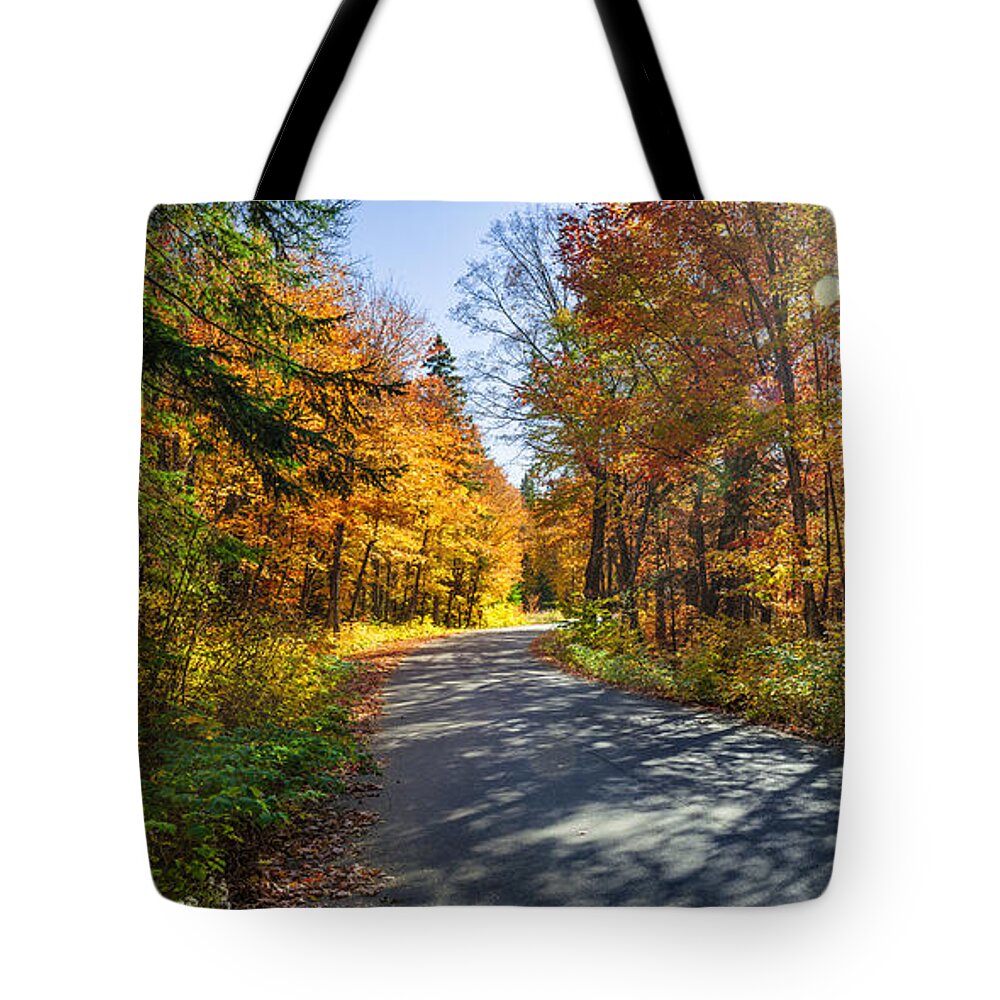 Road Tote Bag featuring the photograph Road through fall forest by Elena Elisseeva