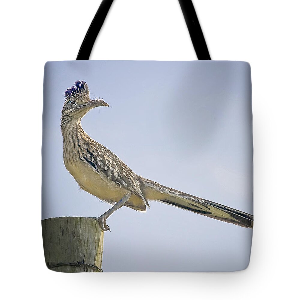 Road Runner Tote Bag featuring the photograph Roadrunner on Fence Post by Michael Dougherty