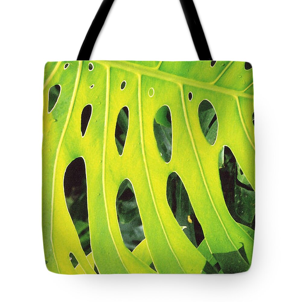 Leaf Tote Bag featuring the photograph Roadside Foliage by Mary Bedy