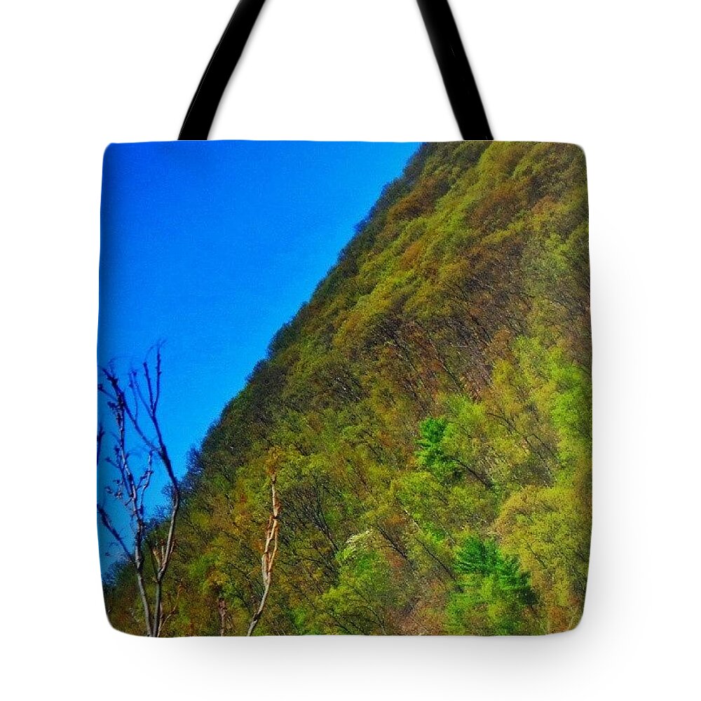 Roadtrip Tote Bag featuring the photograph Roadtrip by Charlie Cliques