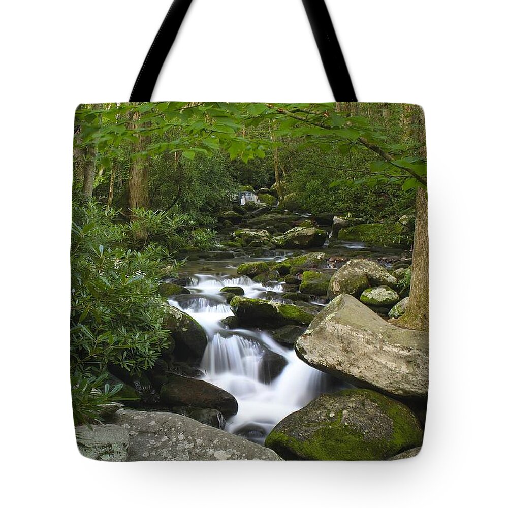 Art Prints Tote Bag featuring the photograph Roaring Fork by Nunweiler Photography
