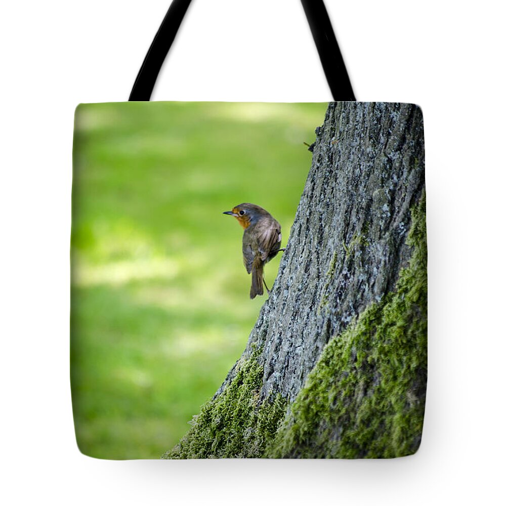 Garden Tote Bag featuring the photograph Robin At Rest by Spikey Mouse Photography