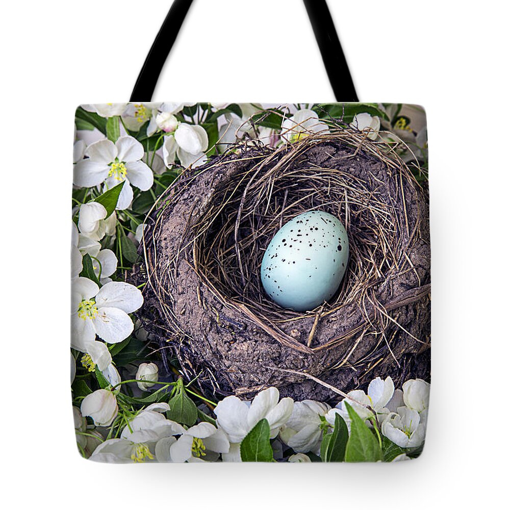 Apple Tote Bag featuring the photograph Robin's Nest by Edward Fielding