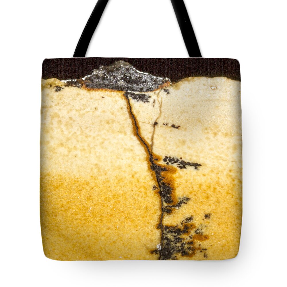Design Tote Bag featuring the photograph Rock Star repeat by Jean Noren
