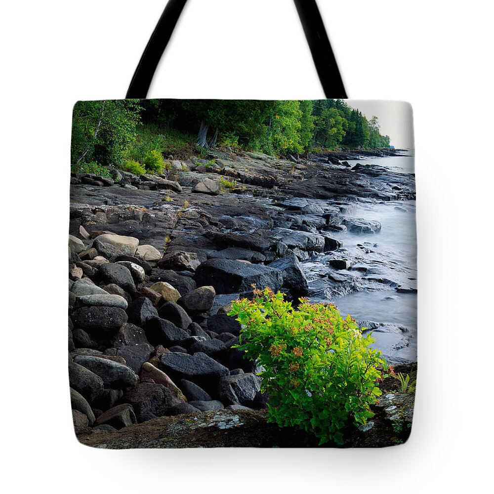 Photography Tote Bag featuring the photograph Rocks And Trees Along Lake Superior by Panoramic Images