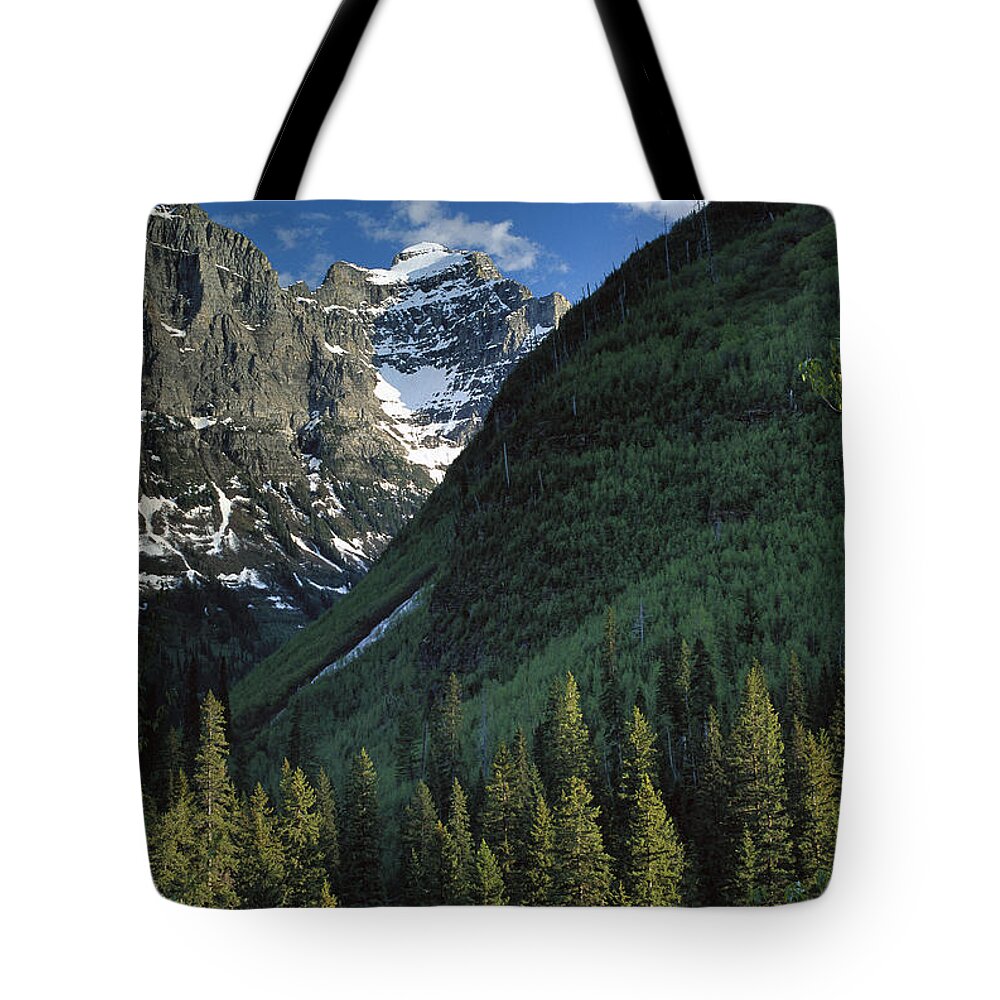 Feb0514 Tote Bag featuring the photograph Rocky Mountain Coniferous Forest by Tim Fitzharris