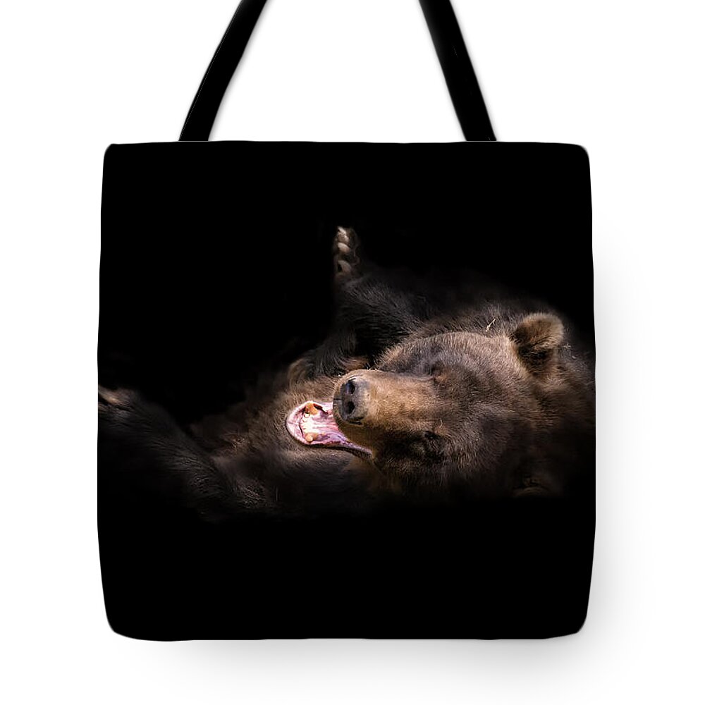 Alaska Tote Bag featuring the photograph Rofl by Ghostwinds Photography