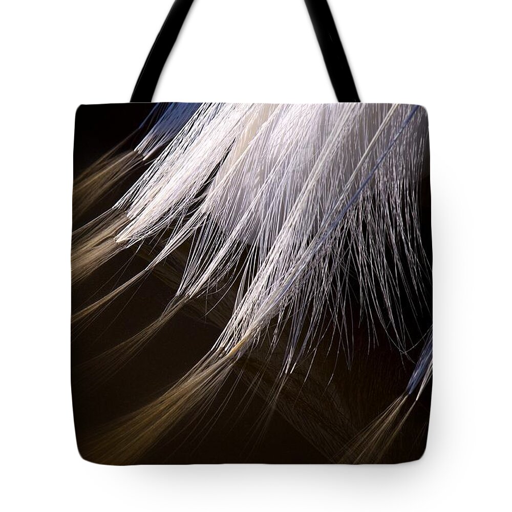 Wildbird Rookery Tote Bag featuring the photograph Rookery 23 by David Beebe