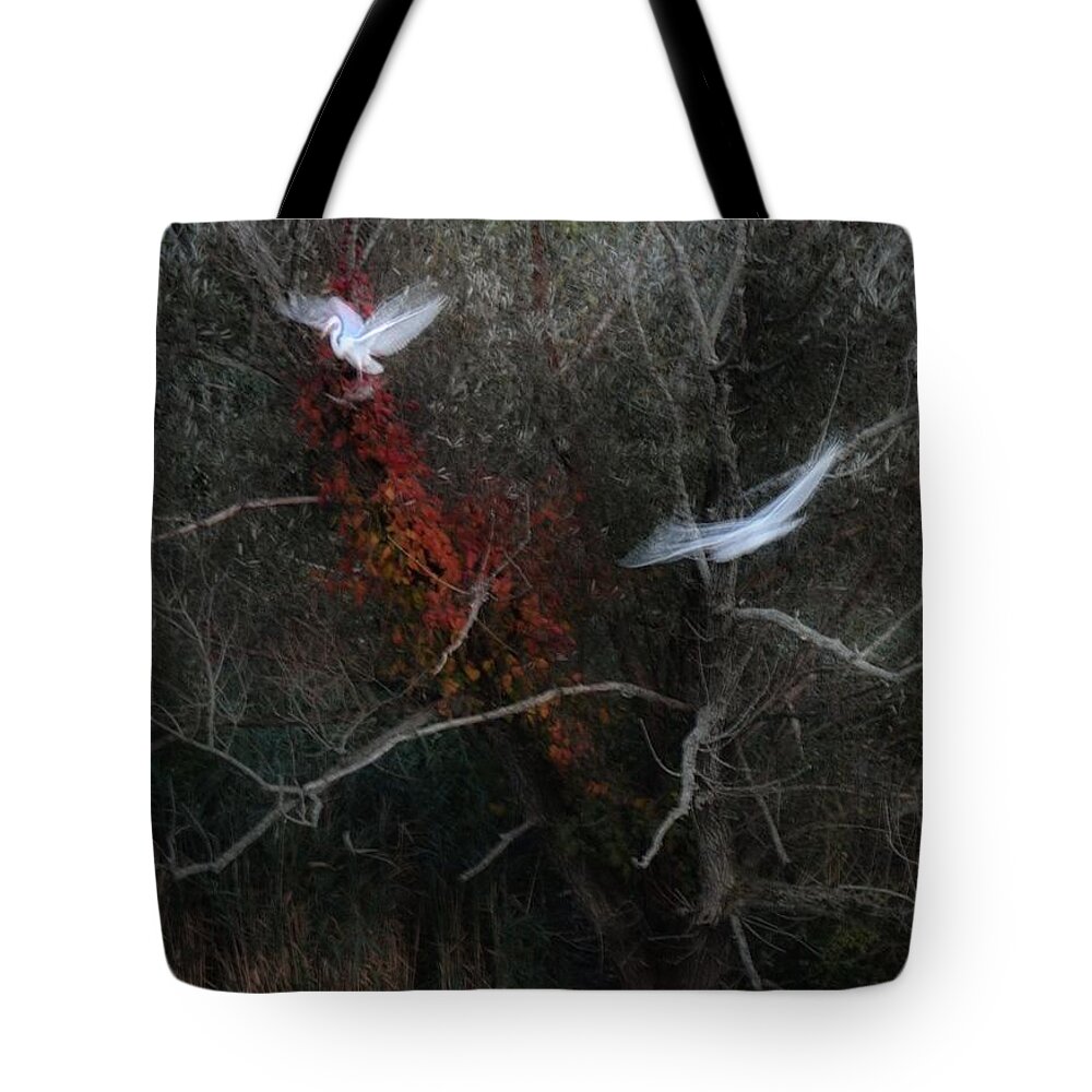Bird Tote Bag featuring the photograph Roost by Mark Fuller