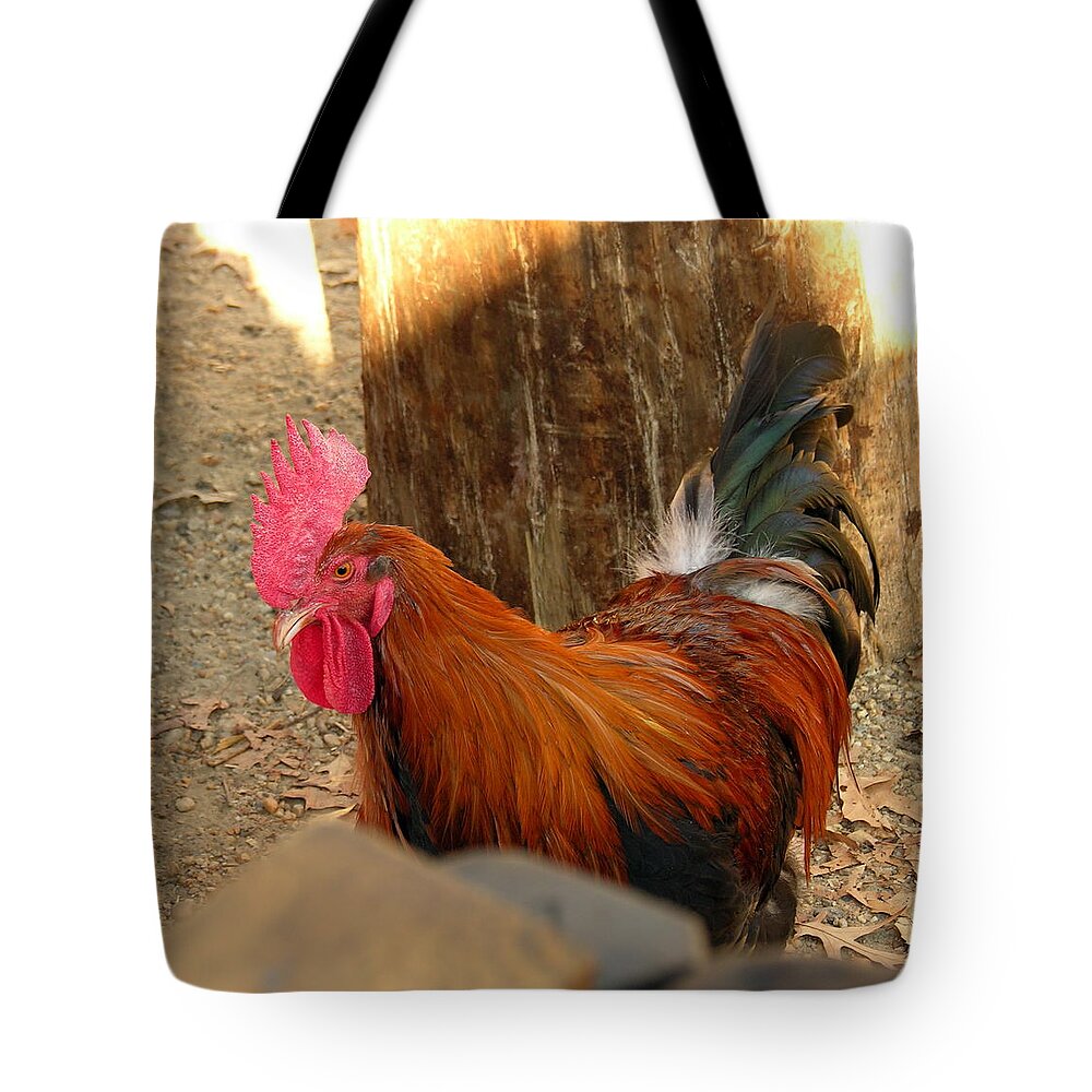Rooster Tote Bag featuring the photograph Rooster Two - Jamestown by Jacqueline M Lewis
