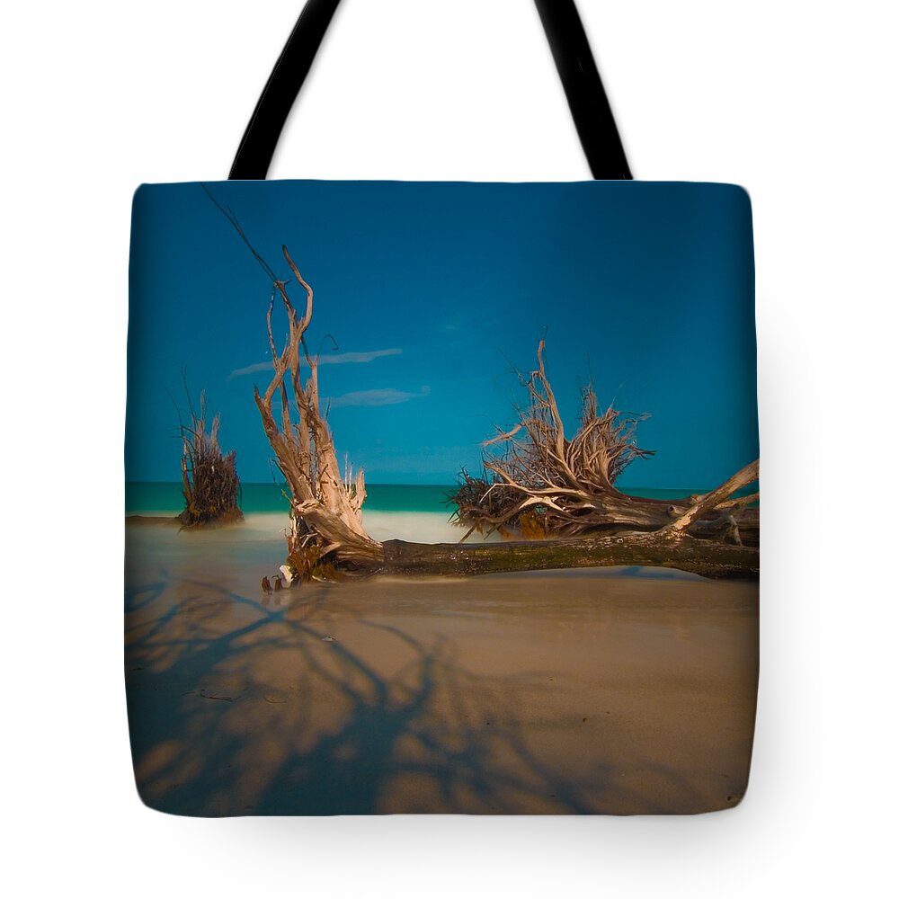 Rolf Bertram Tote Bag featuring the photograph Roots 1 by Rolf Bertram