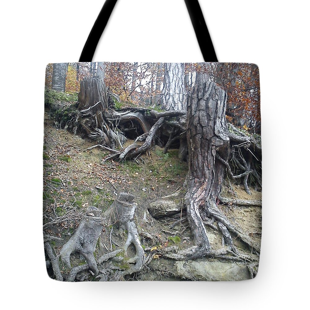 Strong Roots Tote Bag featuring the painting Roots by Felicia Tica