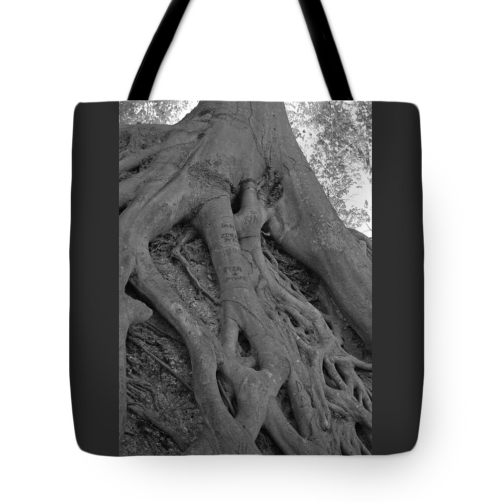 Tree Tote Bag featuring the photograph Roots II by Suzanne Gaff