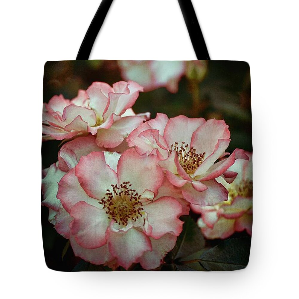 Floral Tote Bag featuring the photograph Rose 299 by Pamela Cooper