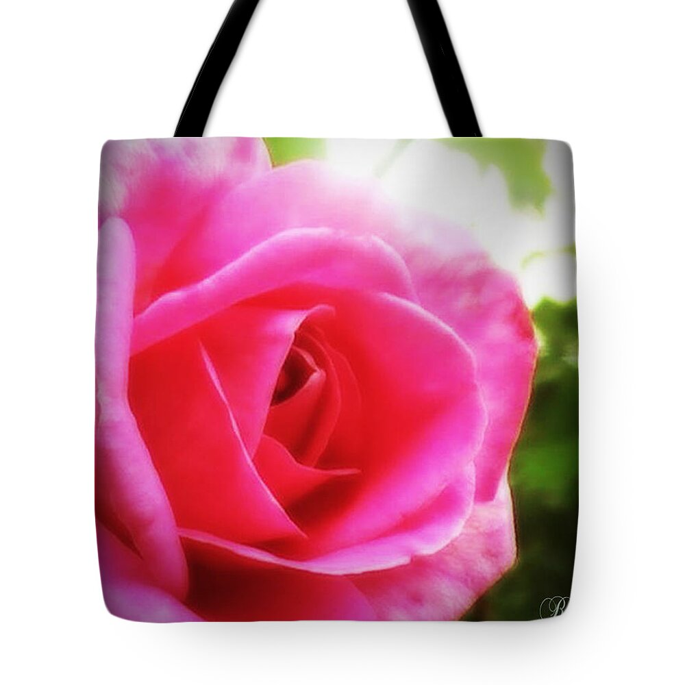 Rose 3 Tote Bag for Sale by Bridget Visser