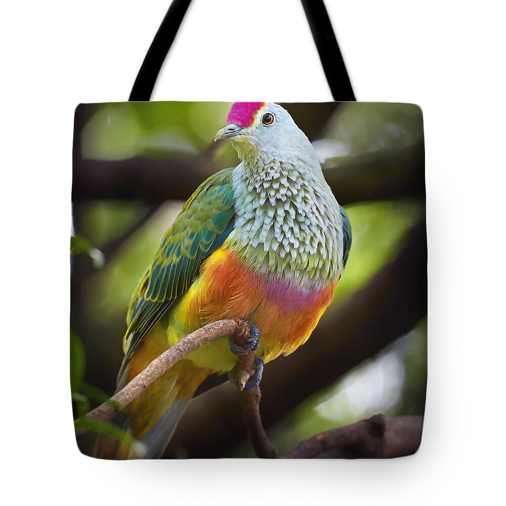 Martin Willis Tote Bag featuring the photograph Rose-crowned Fruit-dove Australia by Martin Willis