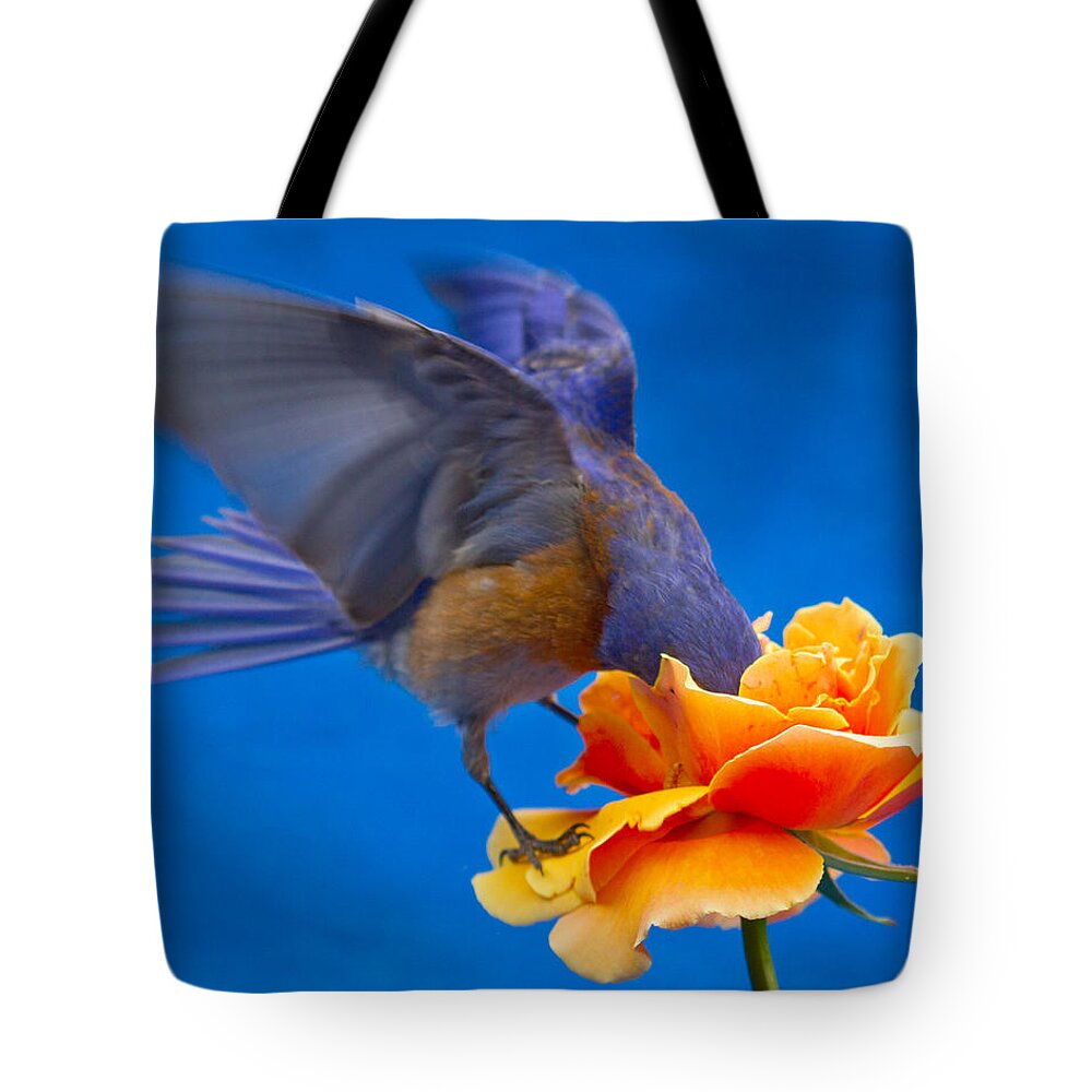 Animals Tote Bag featuring the photograph Rose excavation by Jean Noren