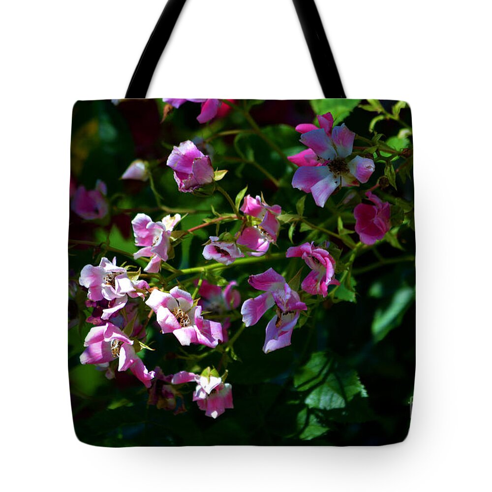 Rose Garden Tote Bag featuring the photograph Rose Garden 2 by Susanne Van Hulst