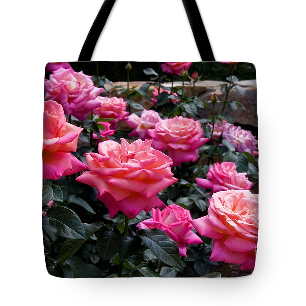 Roses Tote Bag featuring the photograph Rose Garden by Jill Lang