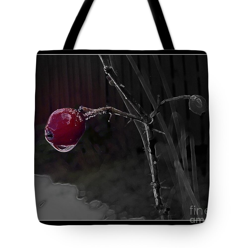 Nature Tote Bag featuring the photograph Rose Hip and Raindrop by Leone Lund
