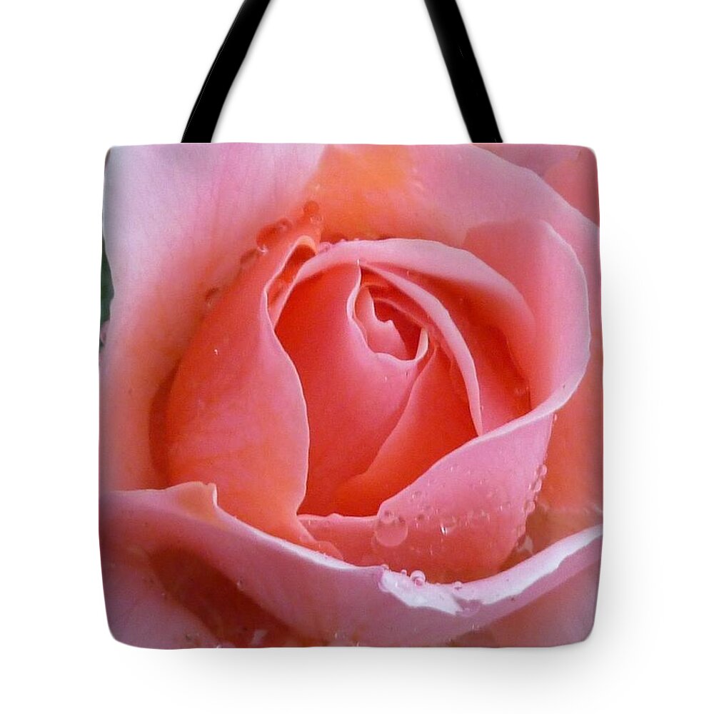 Flower Macro Tote Bag featuring the photograph Rose in the rain by Lingfai Leung