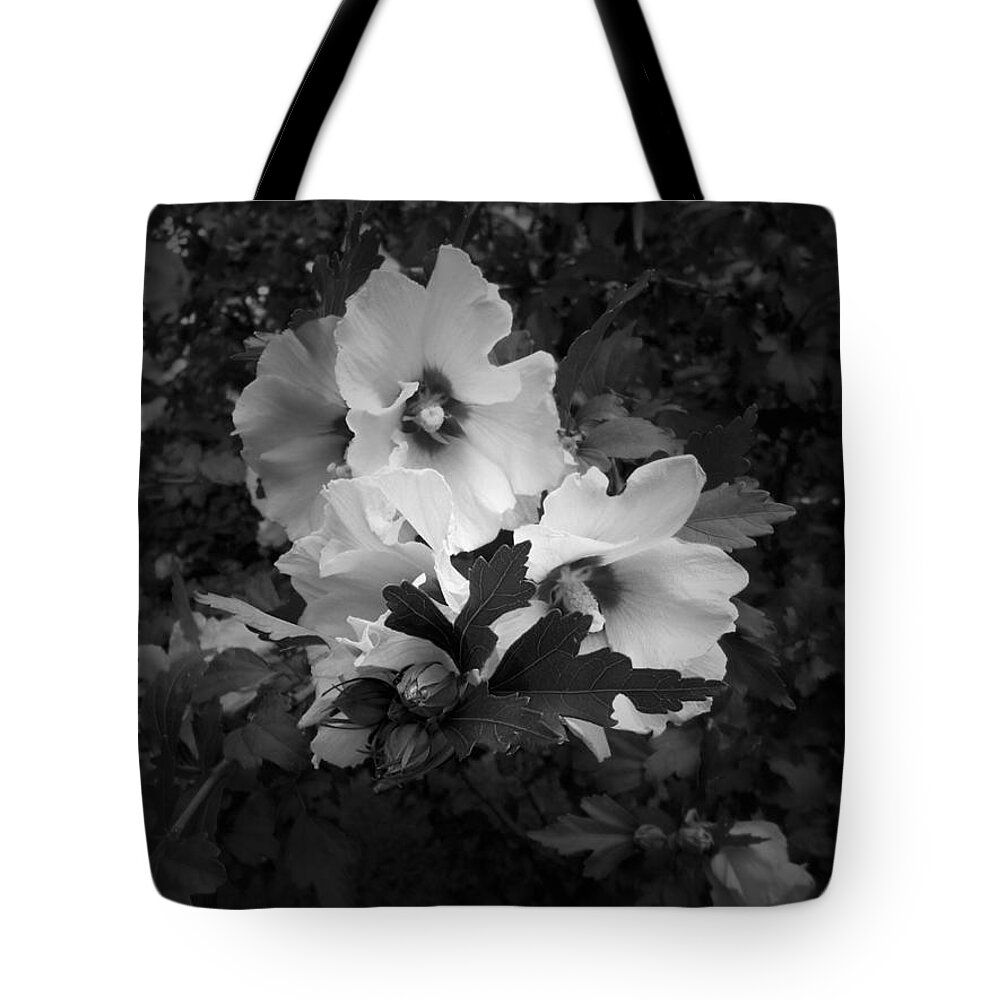 Rose Of Sharon Tote Bag featuring the photograph Rose of Sharon 2 B n W by Richard Andrews