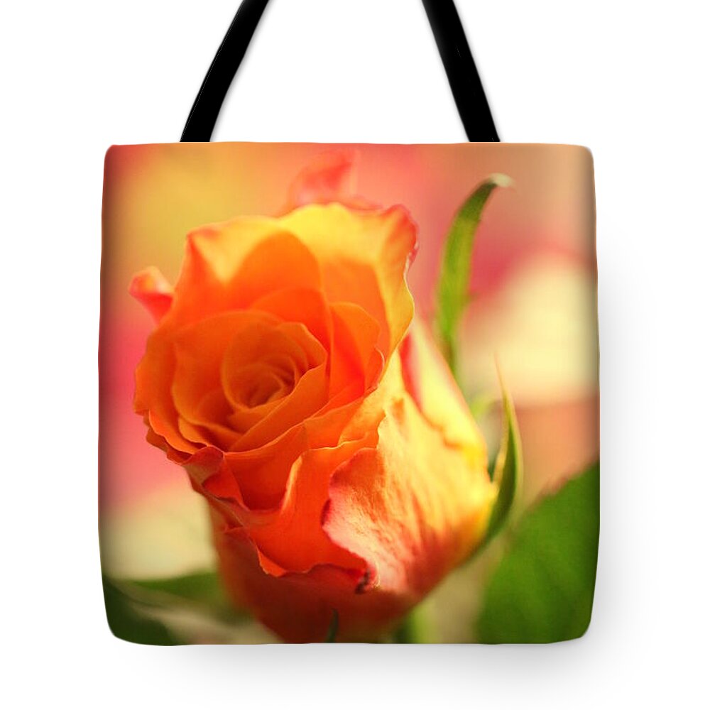 Background Tote Bag featuring the photograph Rose on pink background II by Amanda Mohler