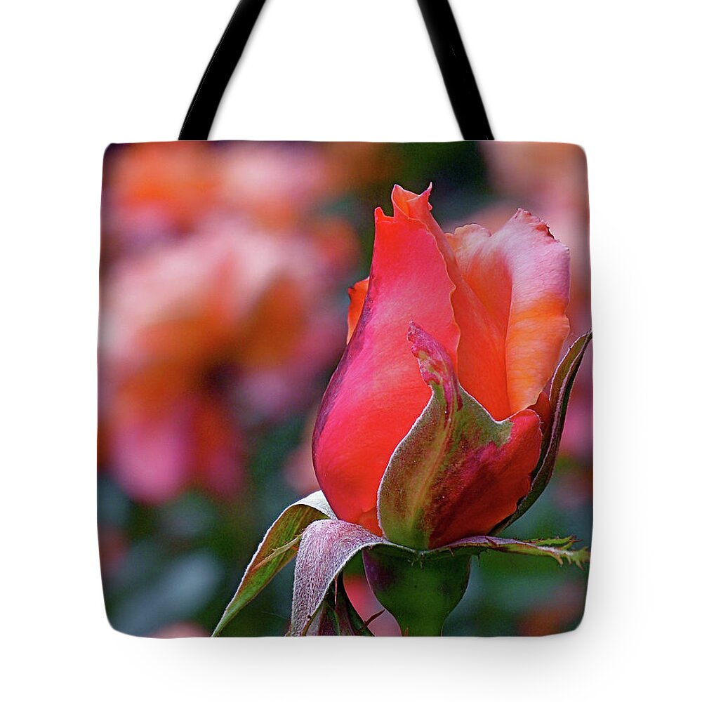 Red Rose Tote Bag featuring the photograph Rose on Rose by Rona Black