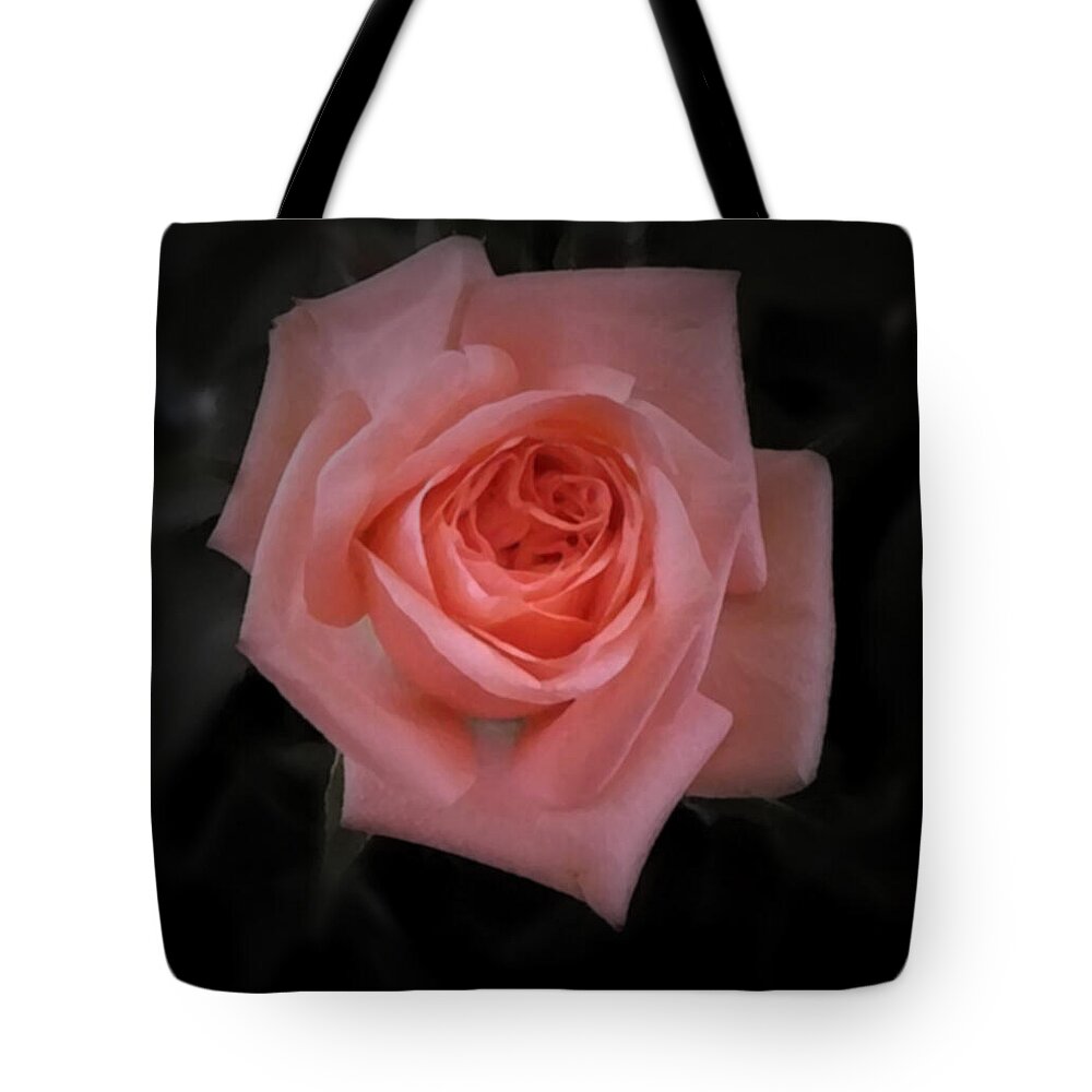 Rose Tote Bag featuring the photograph Rose by Richard Andrews