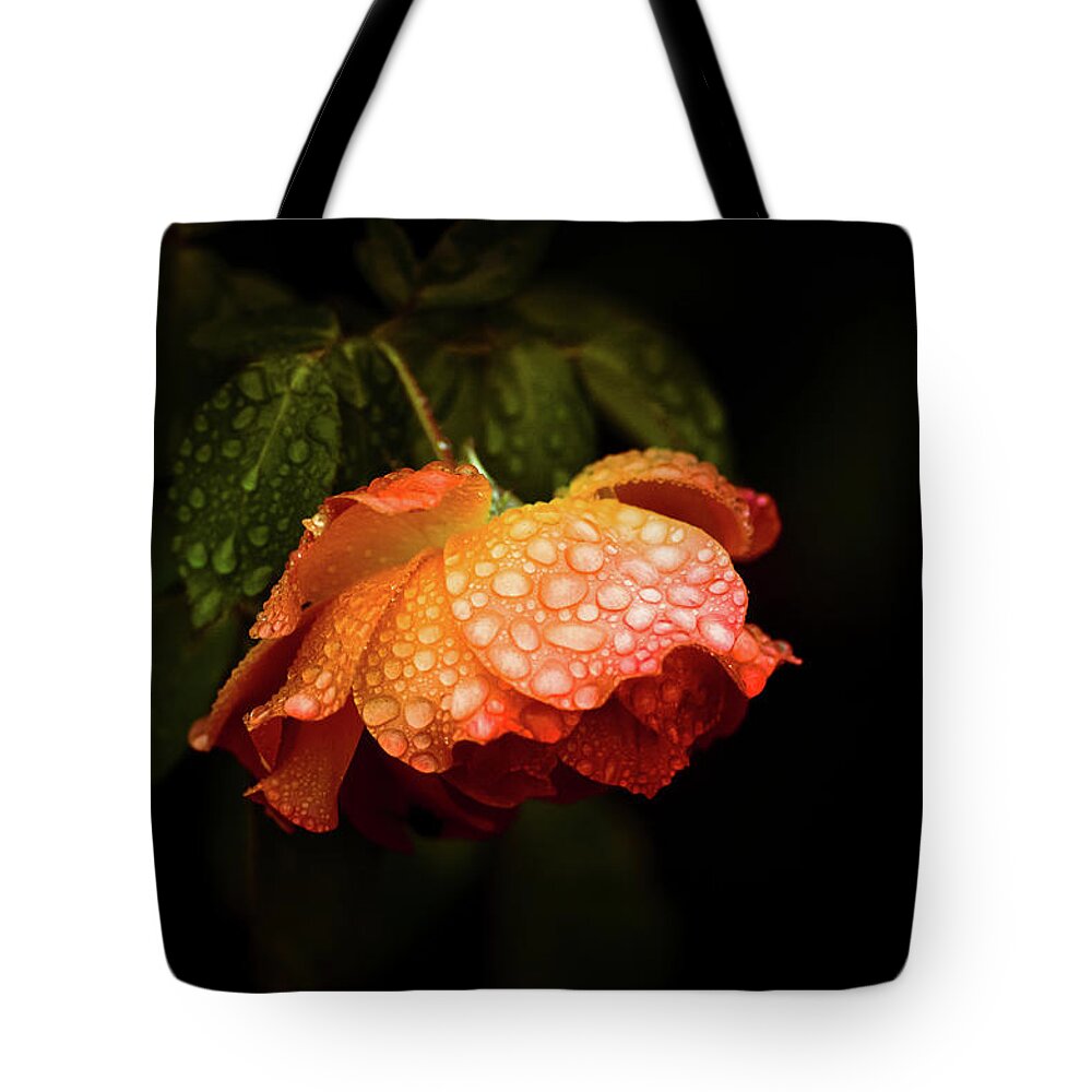 Orange Color Tote Bag featuring the photograph Rose With Raindrops by Cathy Sly