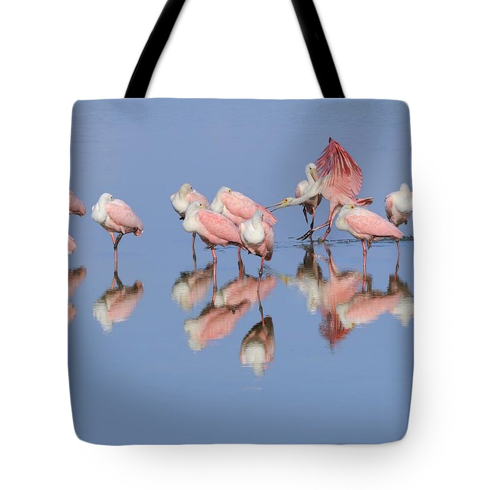 Roseate Spoonbills Tote Bag featuring the photograph Roseate Spoonbill flock and reflections by Bradford Martin