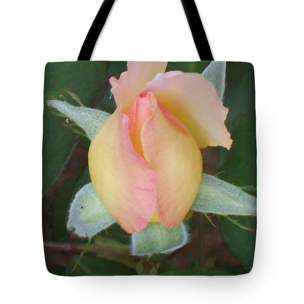 Rose Bud Just Starting To Open Up. Tote Bag featuring the photograph Rosebud by Belinda Lee