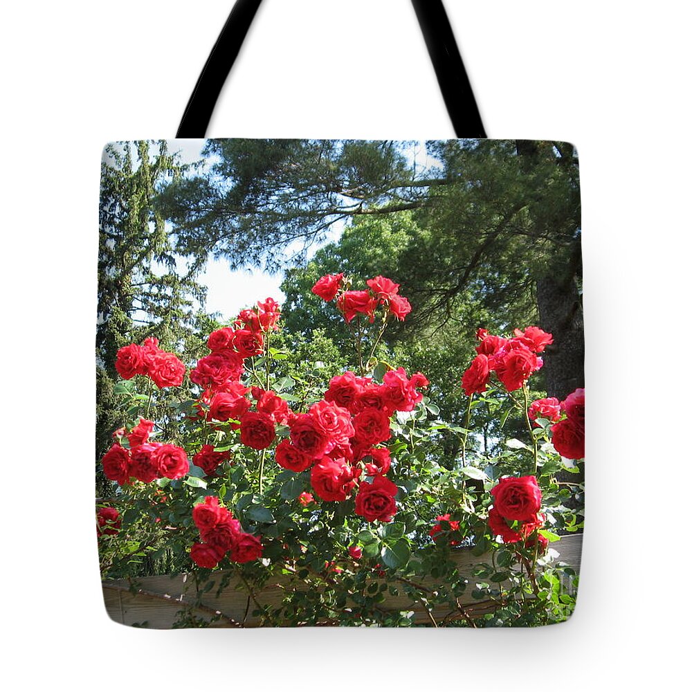 Rose Tote Bag featuring the photograph Roses On Trellis by Susan Carella