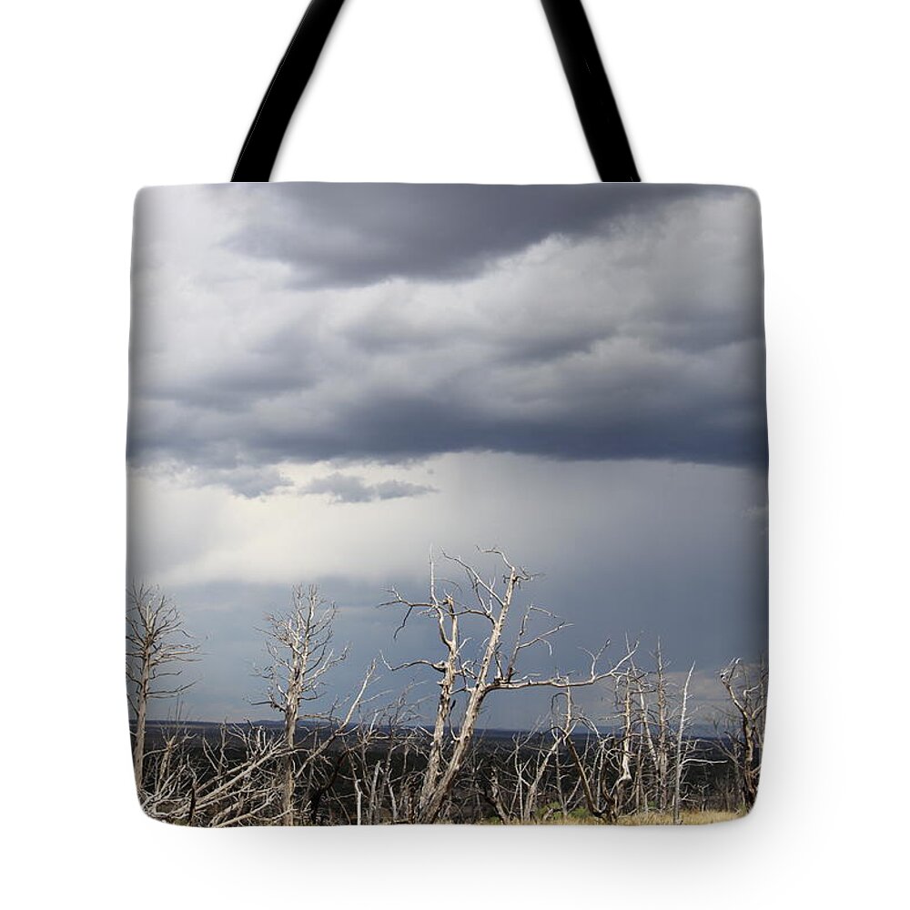Rough Skys Tote Bag featuring the photograph Rough Skys Over Colorado Plateau by Christiane Schulze Art And Photography