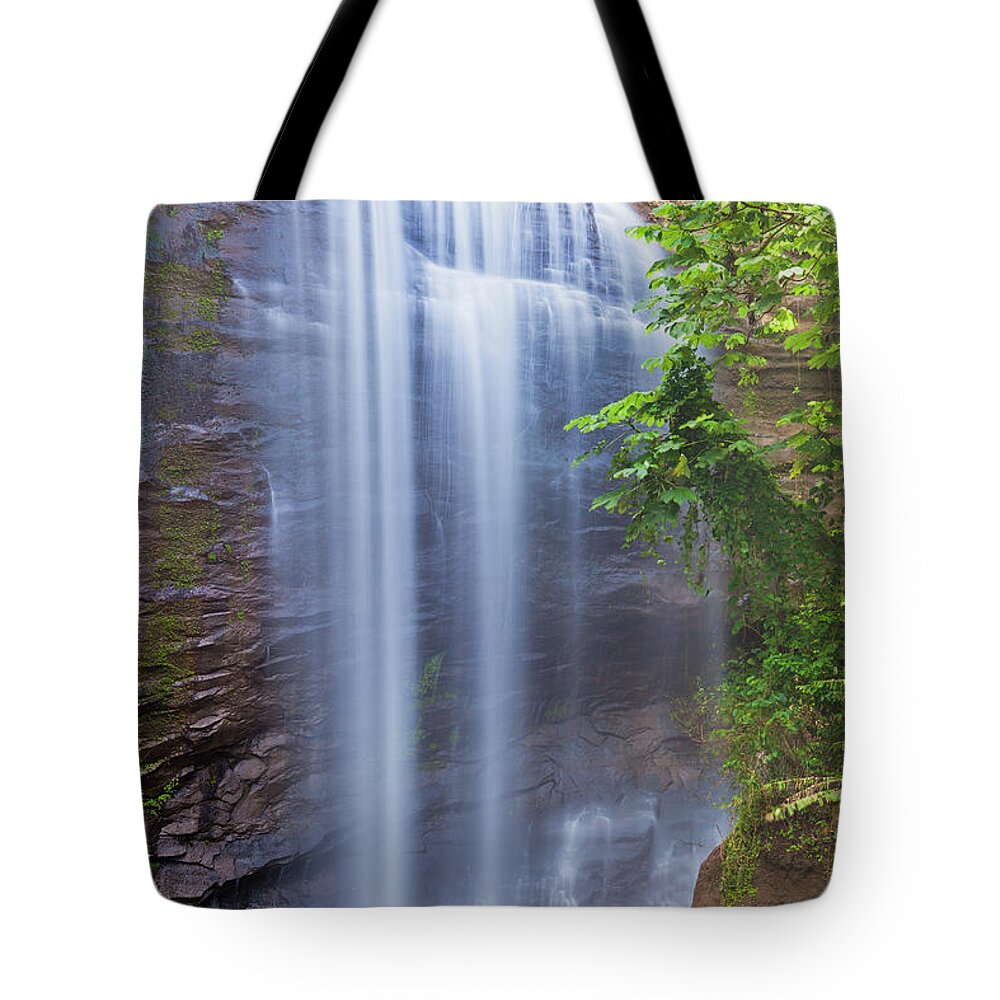 Tropical Rainforest Tote Bag featuring the photograph Royal Mt Carmel Waterfall, Grenada by Argalis