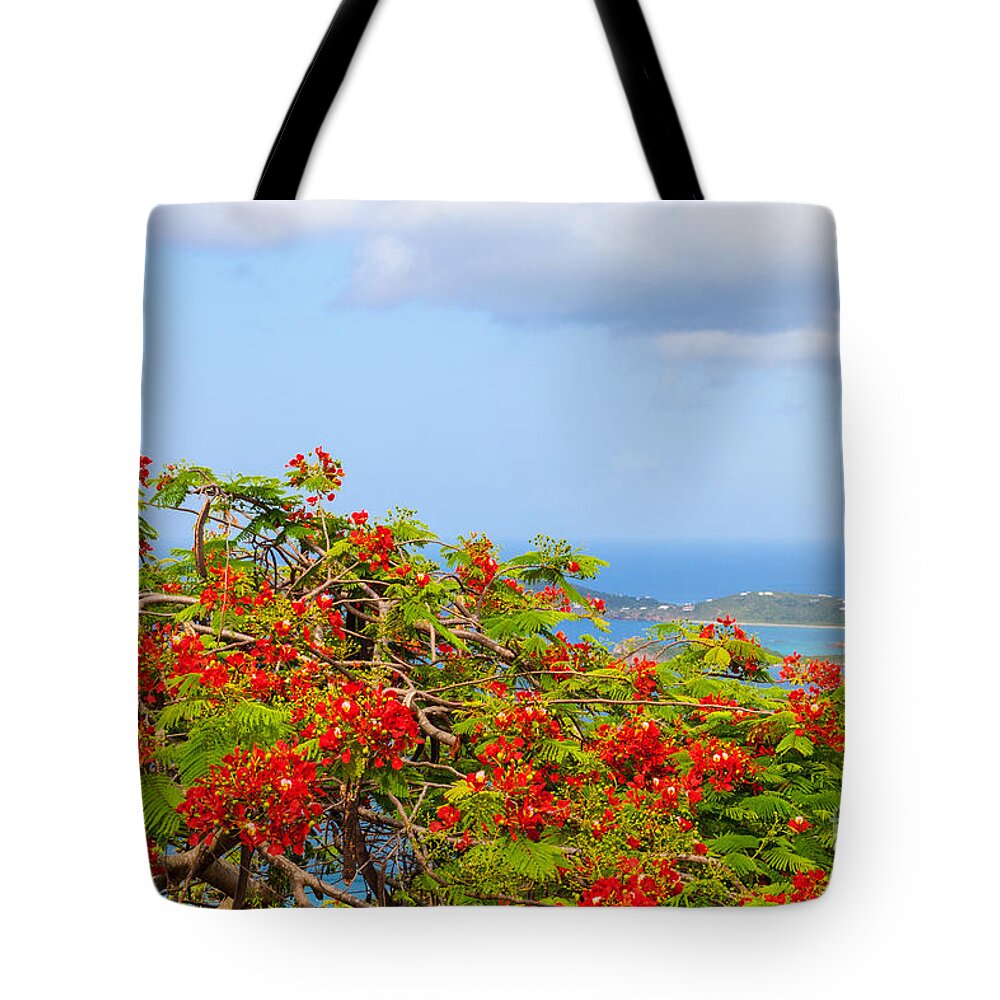 Turquoise Tote Bag featuring the photograph Royal Poinciana View by Diane Macdonald