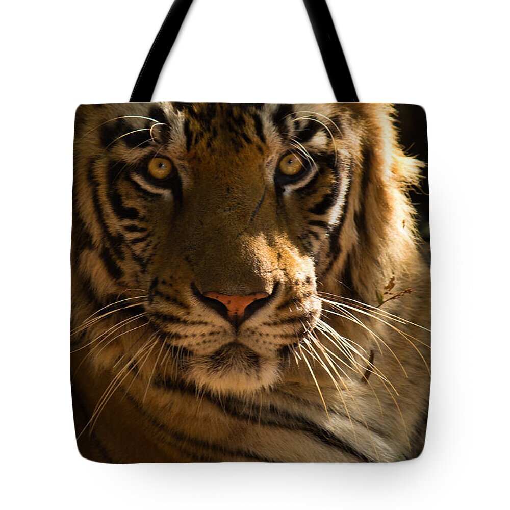 Tiger Tote Bag featuring the photograph Royalty by SAURAVphoto Online Store