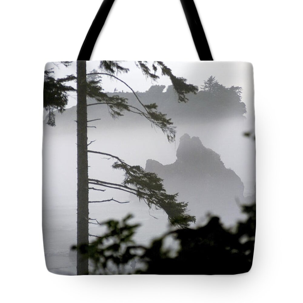 Ruby Beach Tote Bag featuring the photograph Ruby Beach Washington State by Greg Reed