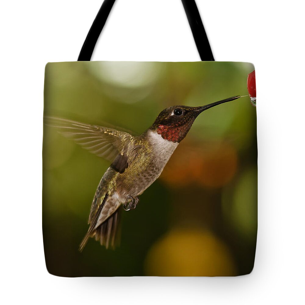 Ruby-throated Hummingbird Tote Bag featuring the photograph Ruby-Throat Hummingbird by Robert L Jackson