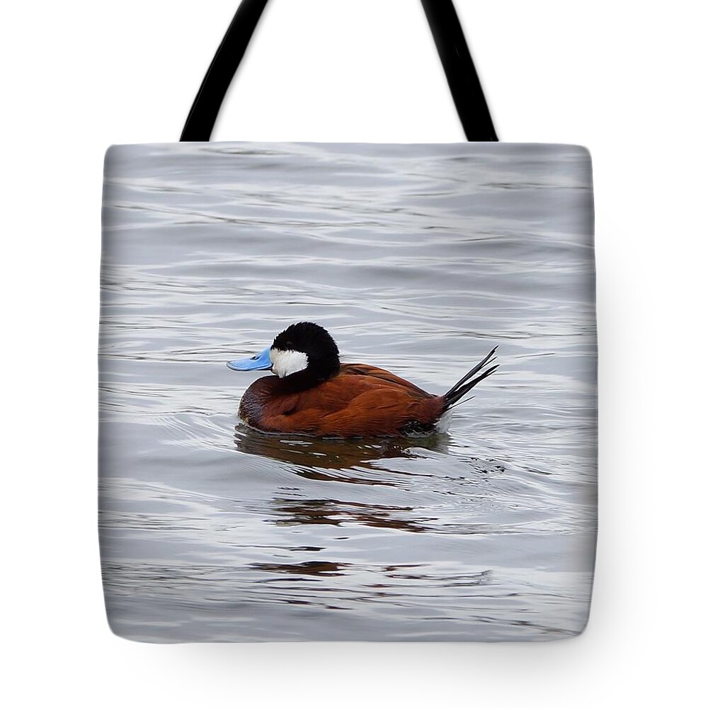 Duck Tote Bag featuring the photograph Ruddy Buddy by Steven Clipperton