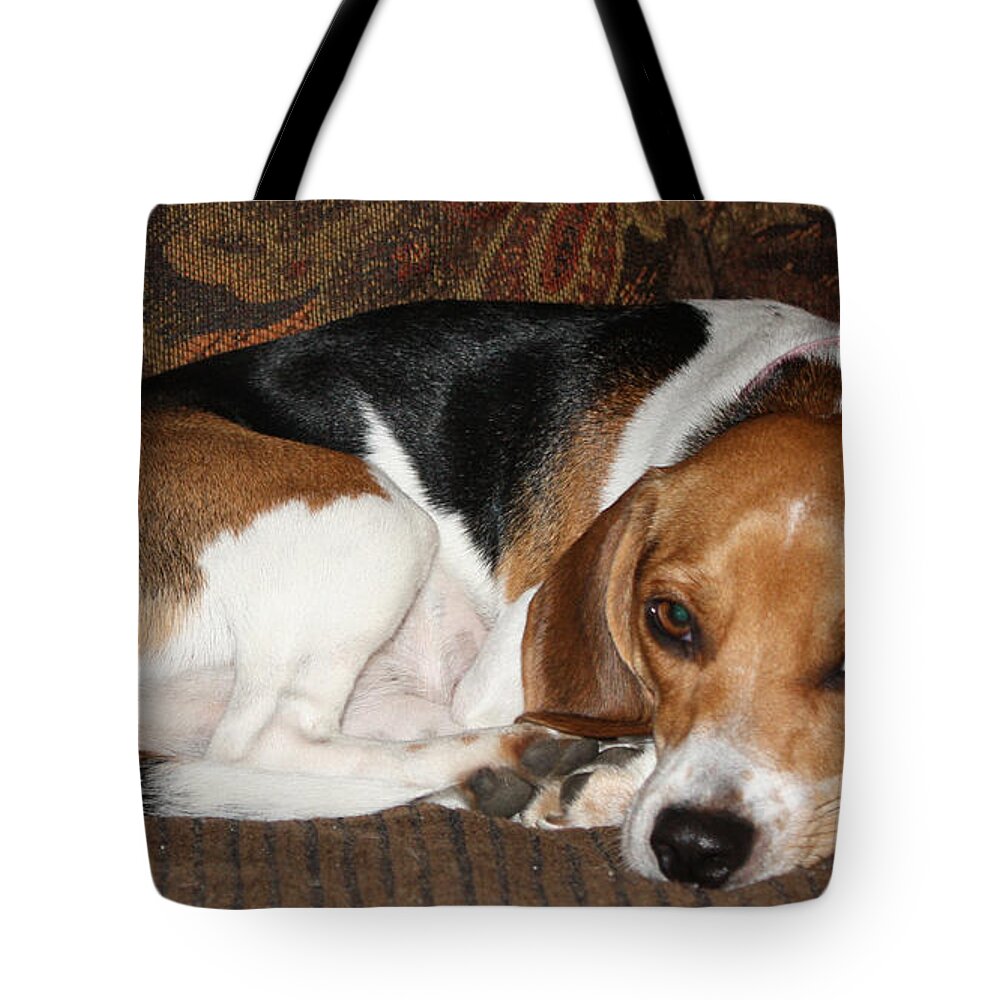 Ruff Day Tote Bag featuring the photograph Ruff Day by John Telfer
