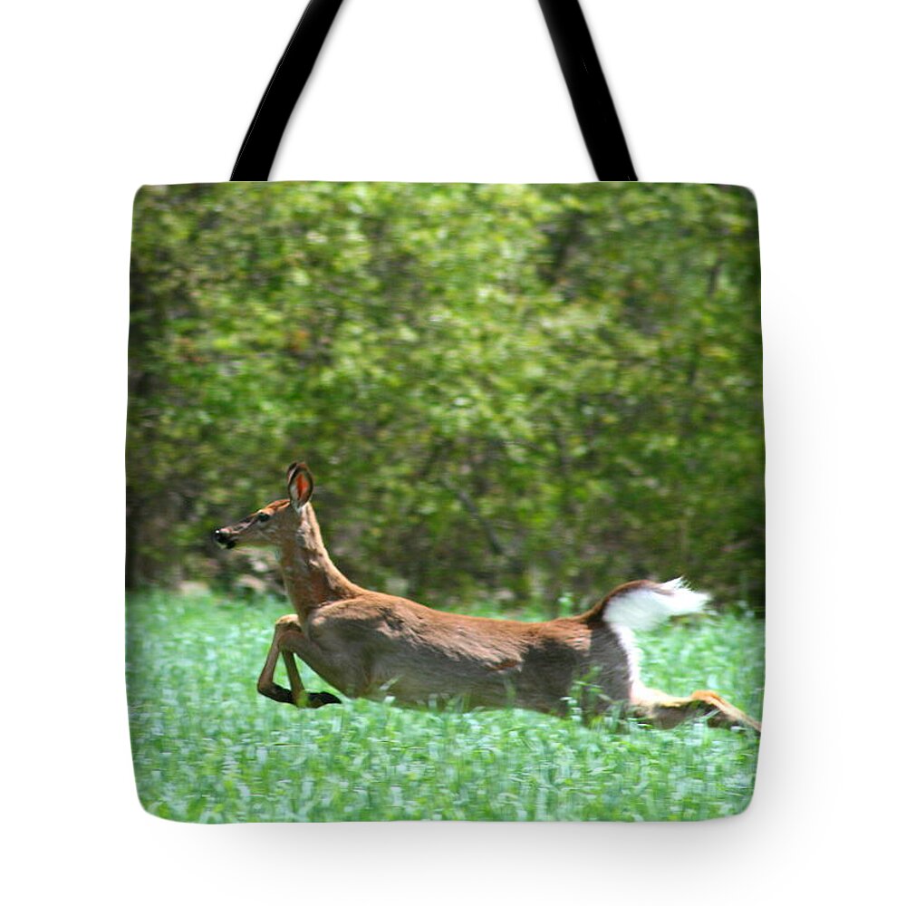 Deer Tote Bag featuring the photograph Run Forest Run by Neal Eslinger
