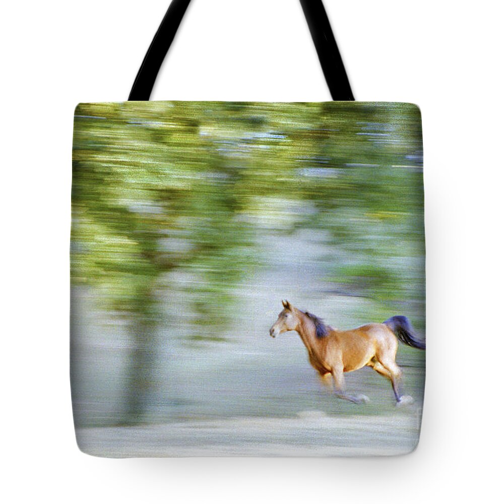 Active Tote Bag featuring the photograph Run With the Wind by Diane Macdonald