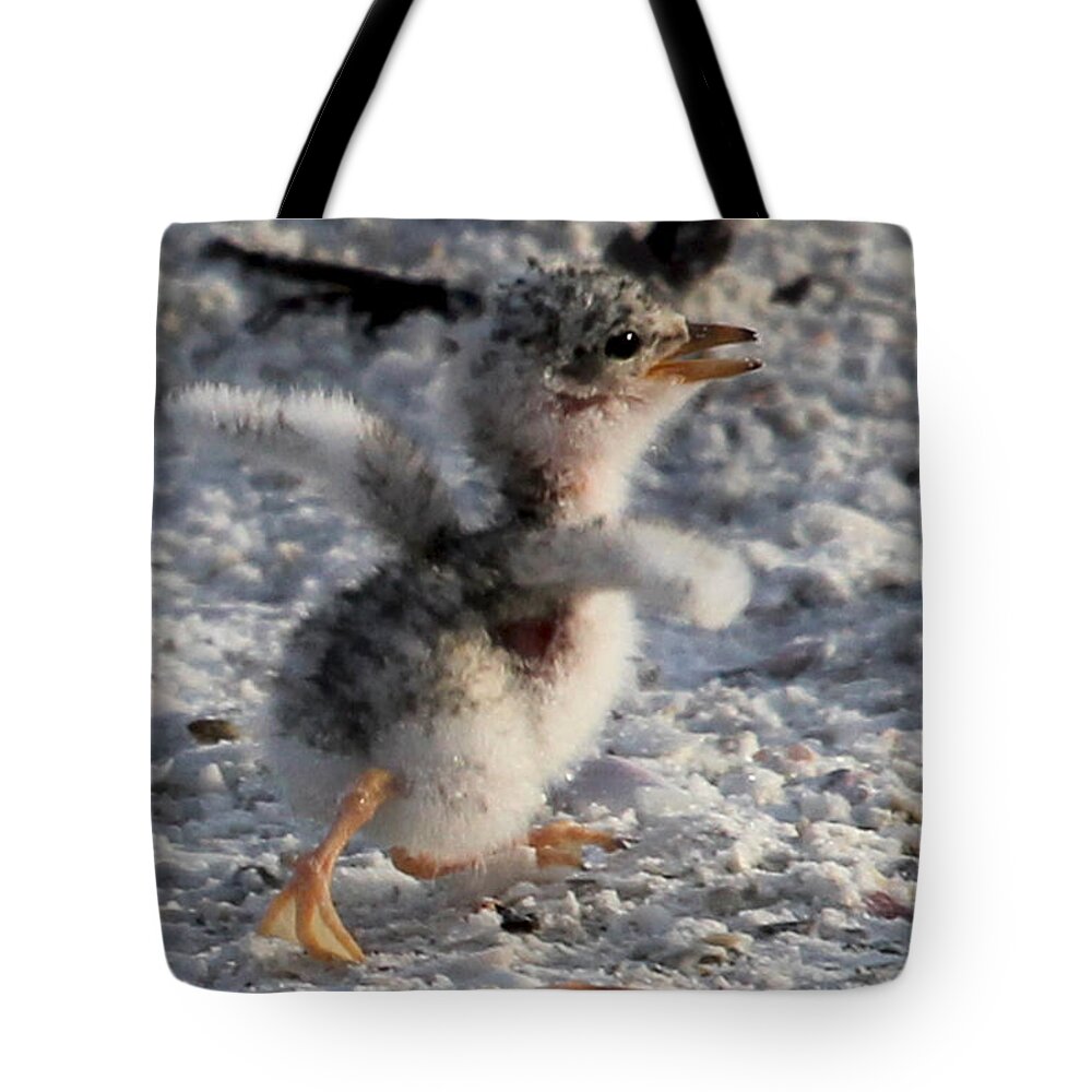 Least Tern Tote Bag featuring the photograph Running Free - Least Tern by Meg Rousher