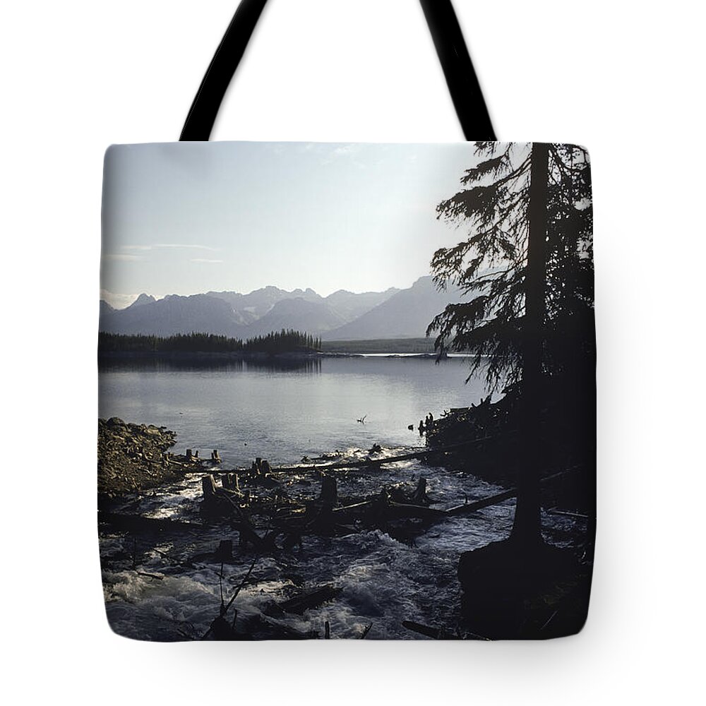 Americas Tote Bag featuring the photograph Rushing Stream by Roderick Bley