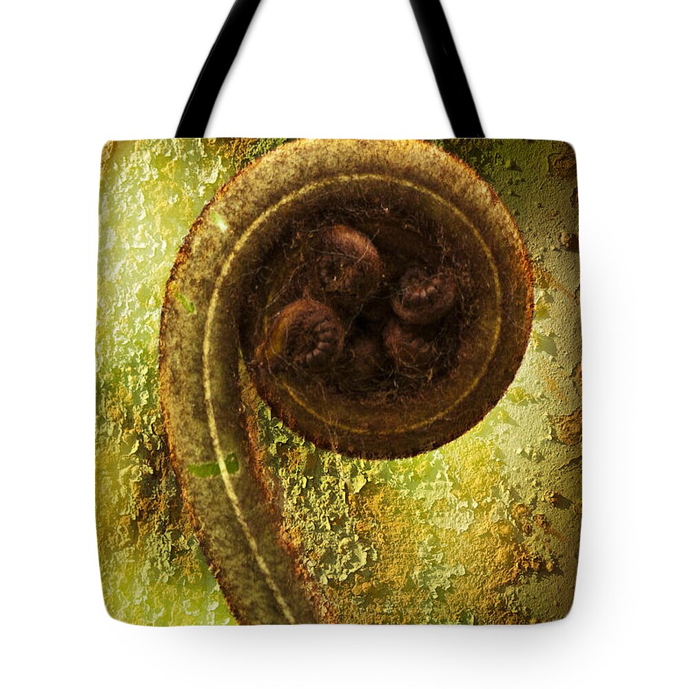 Plant Tote Bag featuring the photograph Rust and Fern by Heiko Koehrer-Wagner