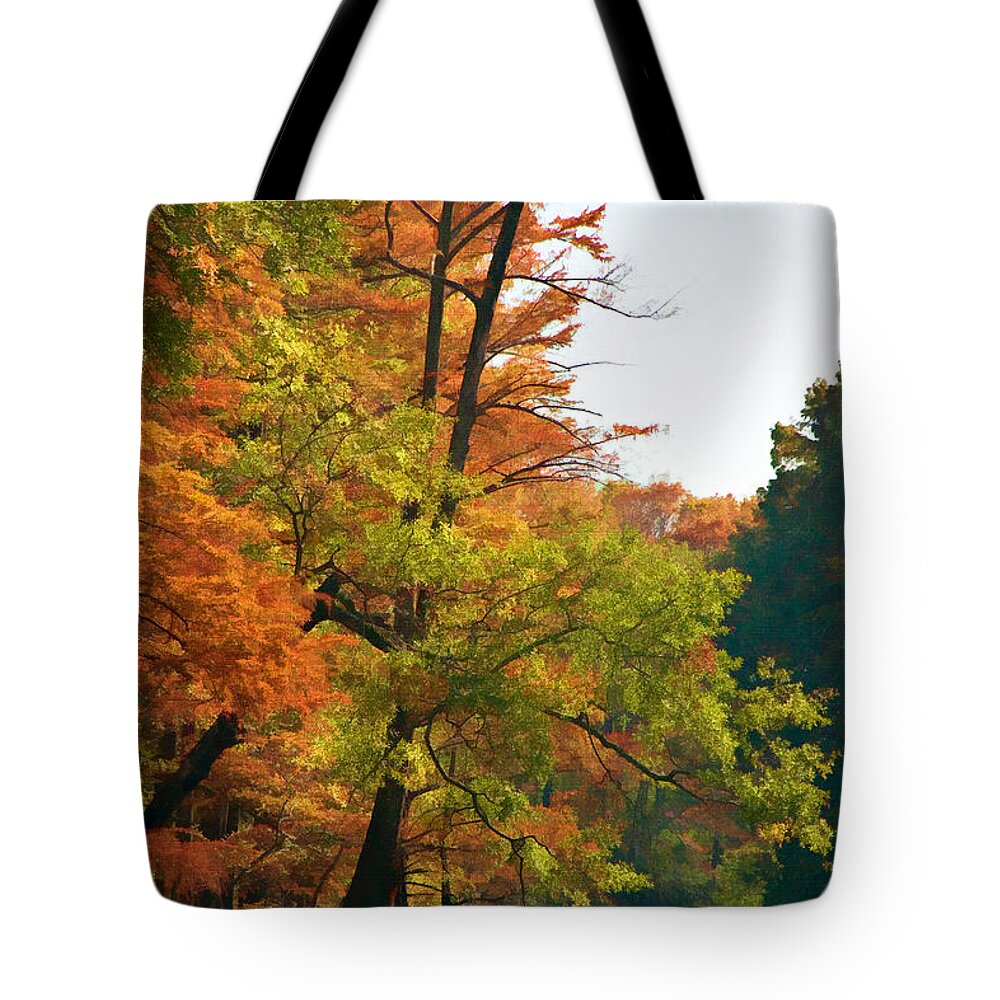 Autumn Tote Bag featuring the digital art Rustic Autumn by Lana Trussell