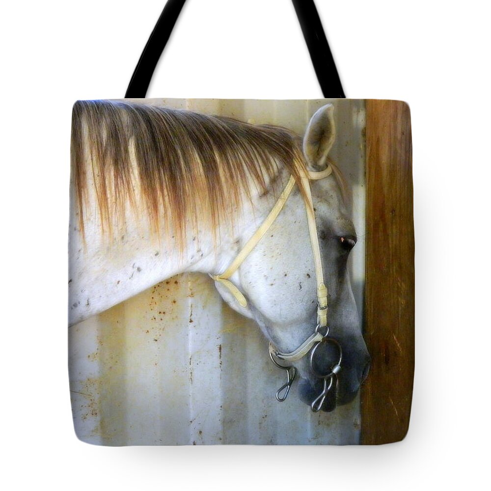 Horse Tote Bag featuring the photograph Saddle Break by Kathy Barney