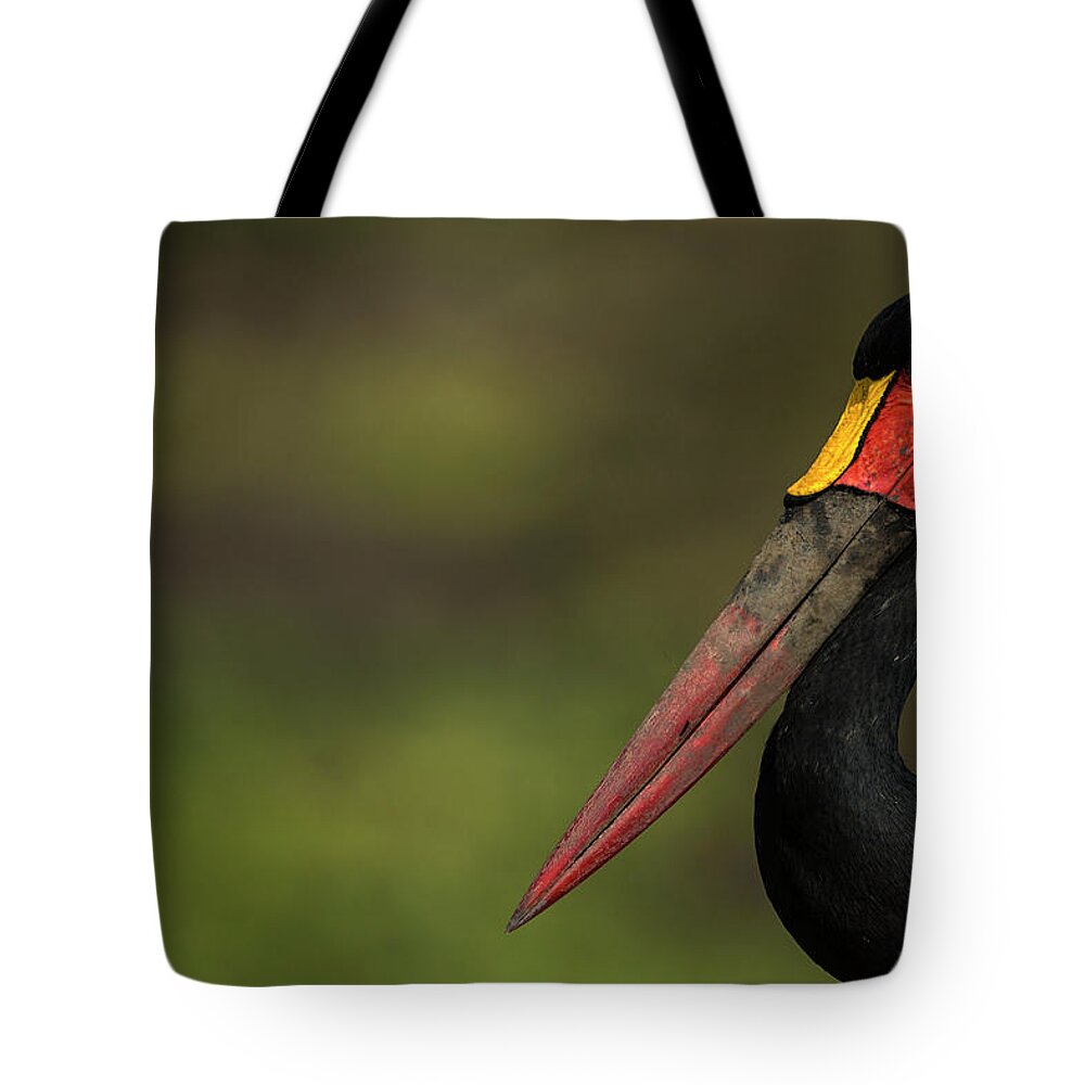 Kenya Tote Bag featuring the photograph Saddlebill Stork Portrait by Manoj Shah